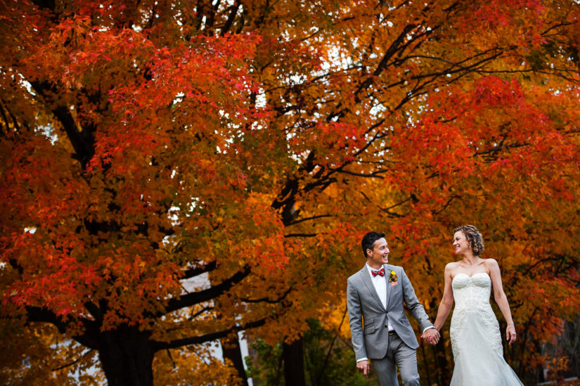 Barrows House Wedding in Dorset;Foliage;Vermont wedding photographers;Wedding Portrait