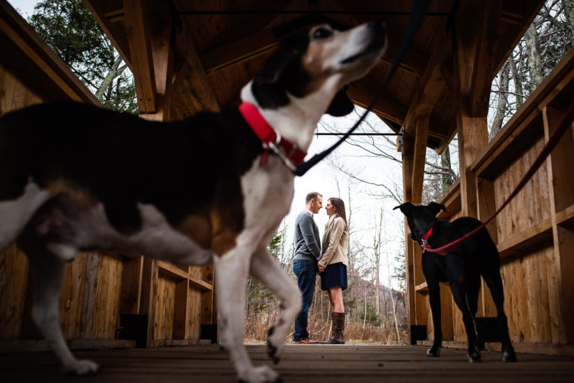 Dogs;Stowe Mountain Resort;Vermont Engagement Photos